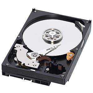 Datenrettung von Western Digital (WD) Festplatten